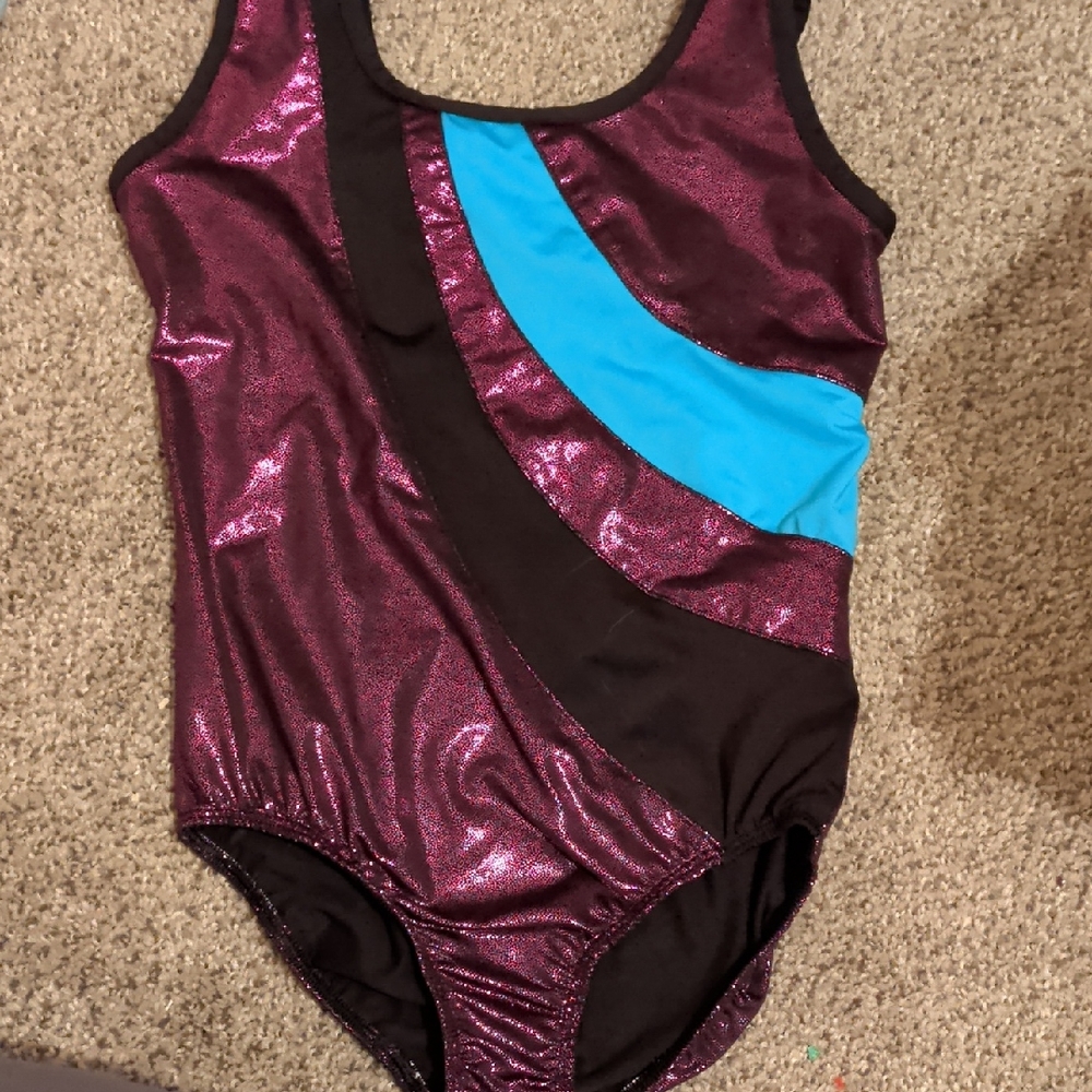 Danskin Black and Blue Activewear 7/8